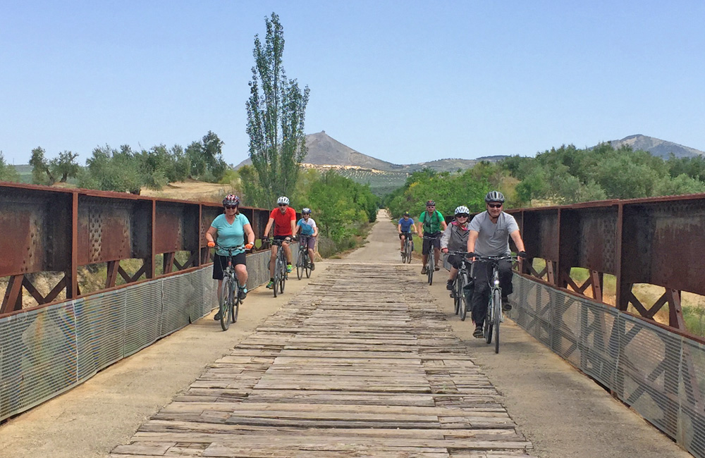 Vias Verdes Bike Tours with guide and transport