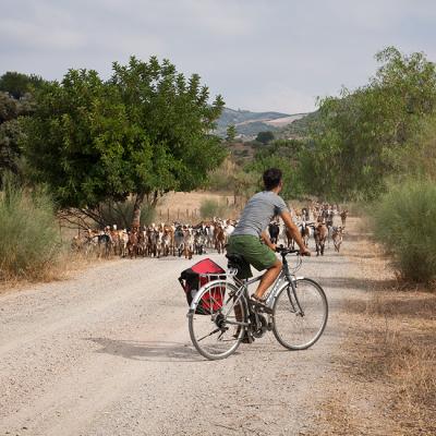 Cycling route via Verde de la Sierra